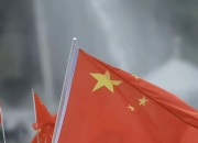 开云官方app入口-中国队逆转奥地利队，樊振东扛起全队