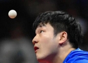 开云体育-日本队轻取葡萄牙队，樊振东关键制胜