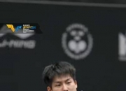 开云体育中国-瑞典乒乓球队翻盘德国乒乓球队，许昕完成帽子戏法的简单介绍