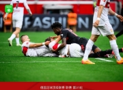 开云平台-塞维利亚轻取拜仁，弗拉霍维奇统治全场的简单介绍