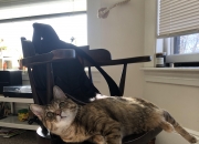 开云体育登录-当紫金军团遇见浙江旋风，塔图姆纪录夜背后的篮球全球化叙事