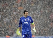 开云体育平台APP-戈贝尔封神之战，灰熊巅峰对决开拓者，关键先生改写历史