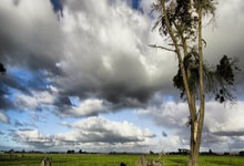 开云体育中国-国王大胜爵士，海尔德分率队击败东部劲旅的简单介绍