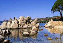 开云体育中国-国王大胜爵士，海尔德分率队击败东部劲旅的简单介绍