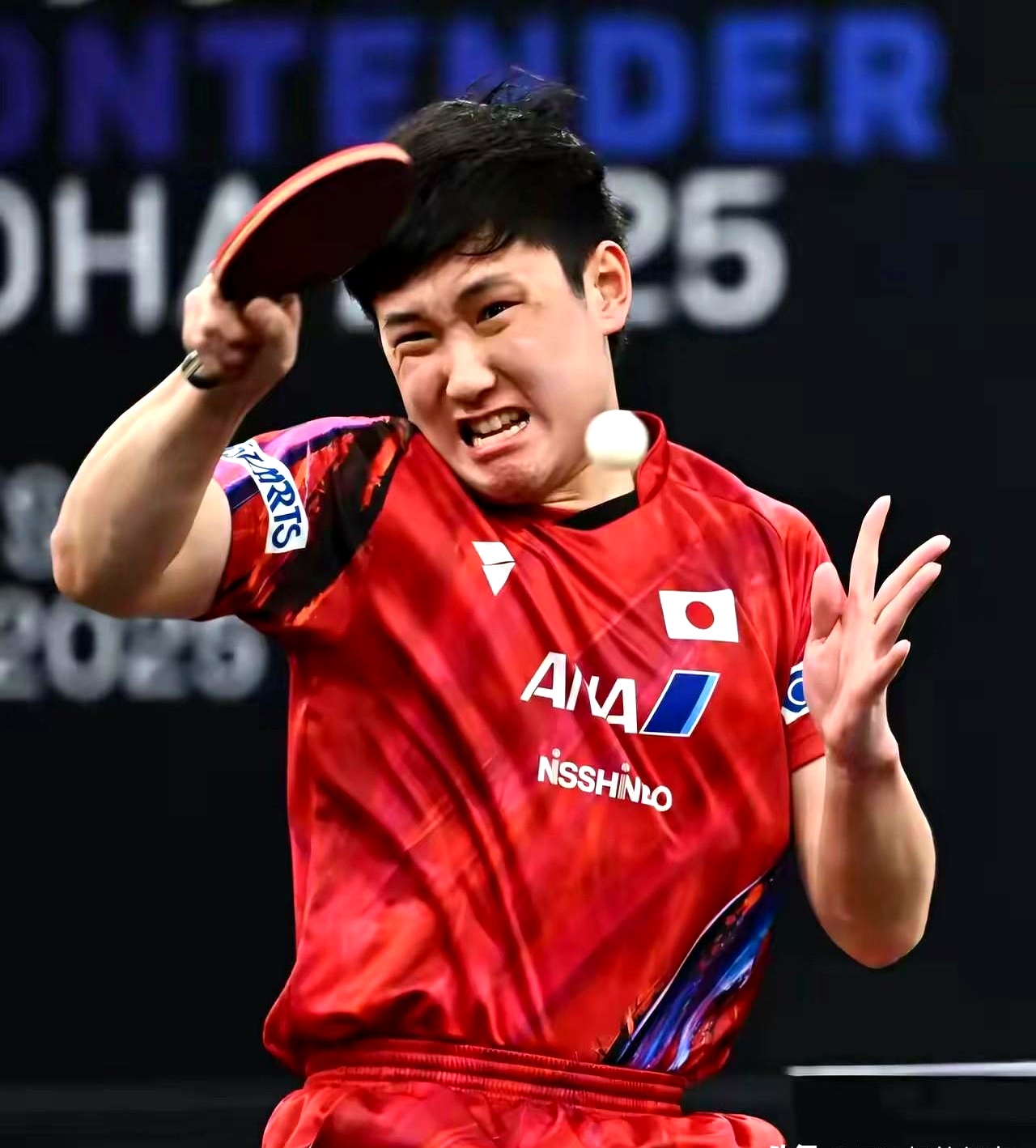 比利时乒乓球队爆冷瑞典乒乓球队，张本智和惊艳世界的简单介绍