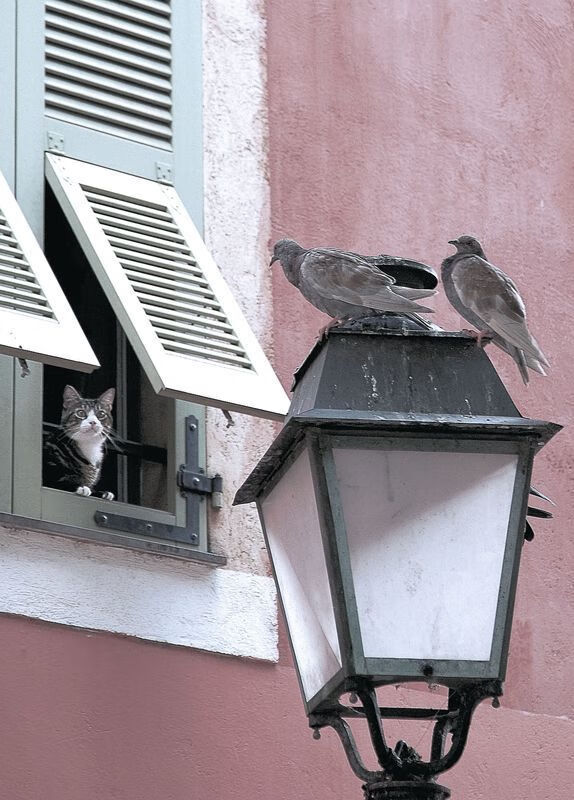 特奥一剑封喉，拉齐奥斩落智利背后的战术革命