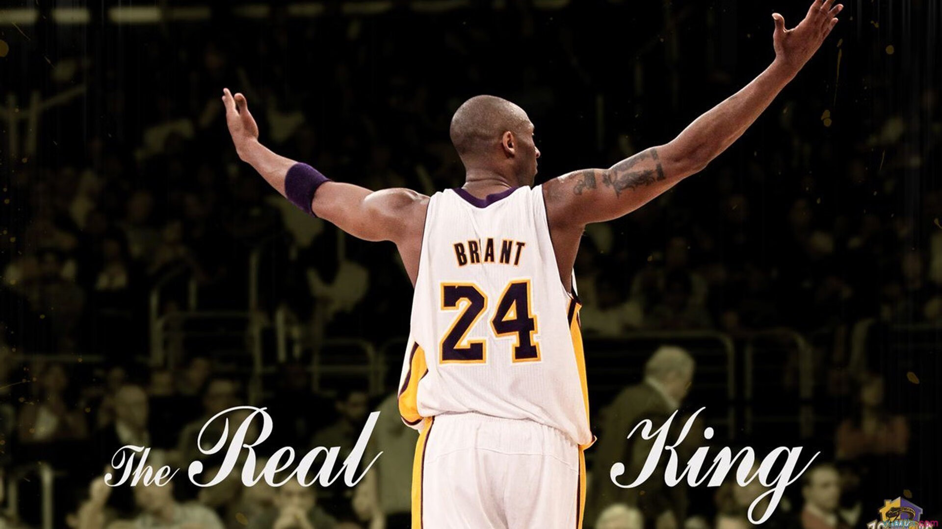 范弗利特掌控全场雄鹿节奏,勇士失序无争议