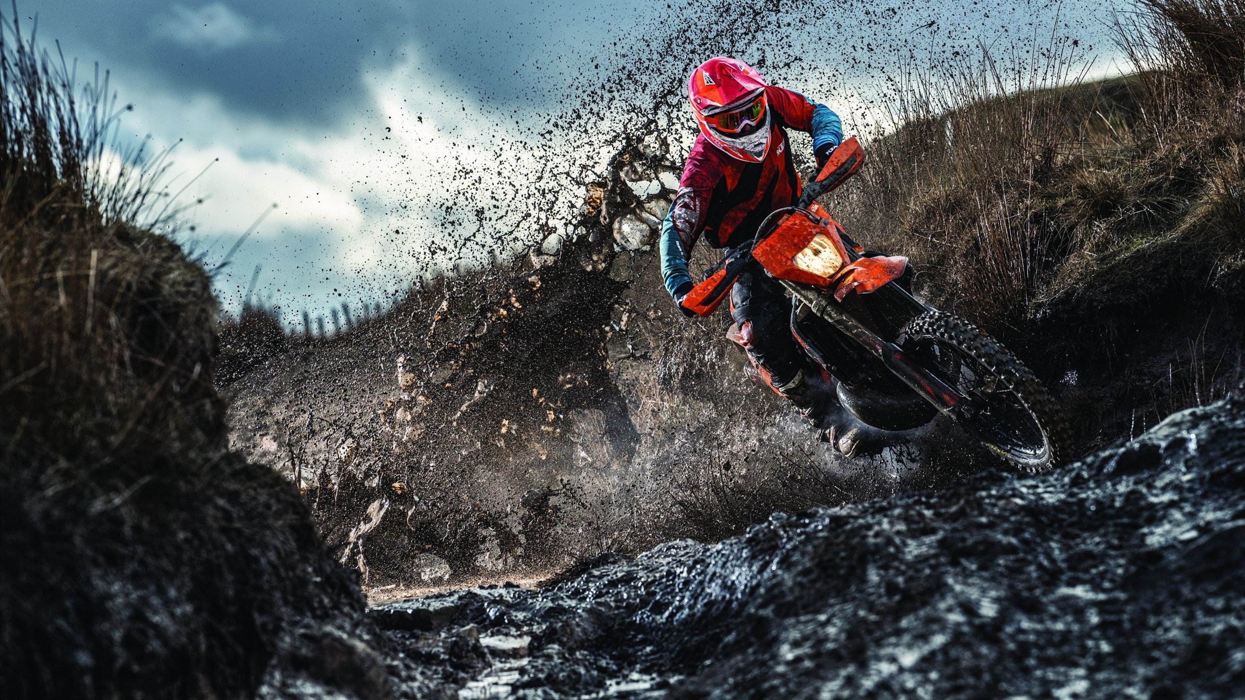 新王登基！托尼巴林揭幕战完美接管，日本引擎全面压制希腊神话